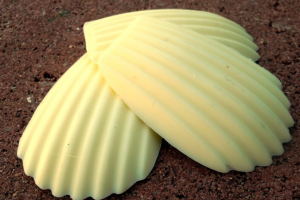 Savonnerie des bormes madeleine parfum madeleine